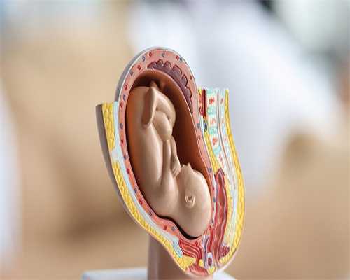 生男孩子代怀:月子怎么用艾叶水洗头-月子洗头可以用艾叶水吗